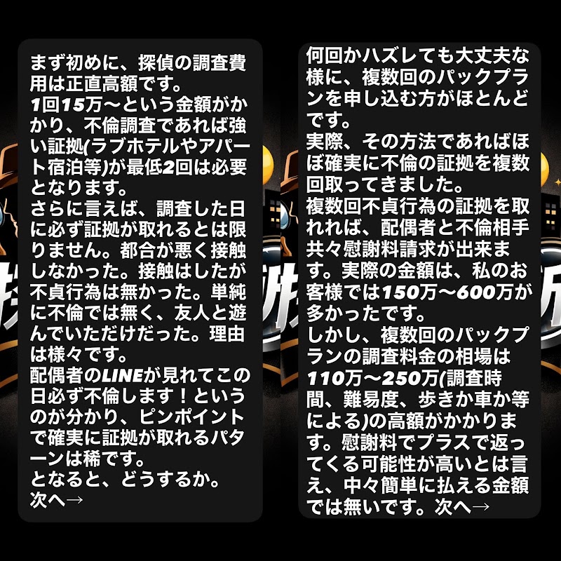 お試し探偵事務所 埼玉県公安委員会 第43260002号の写真 3