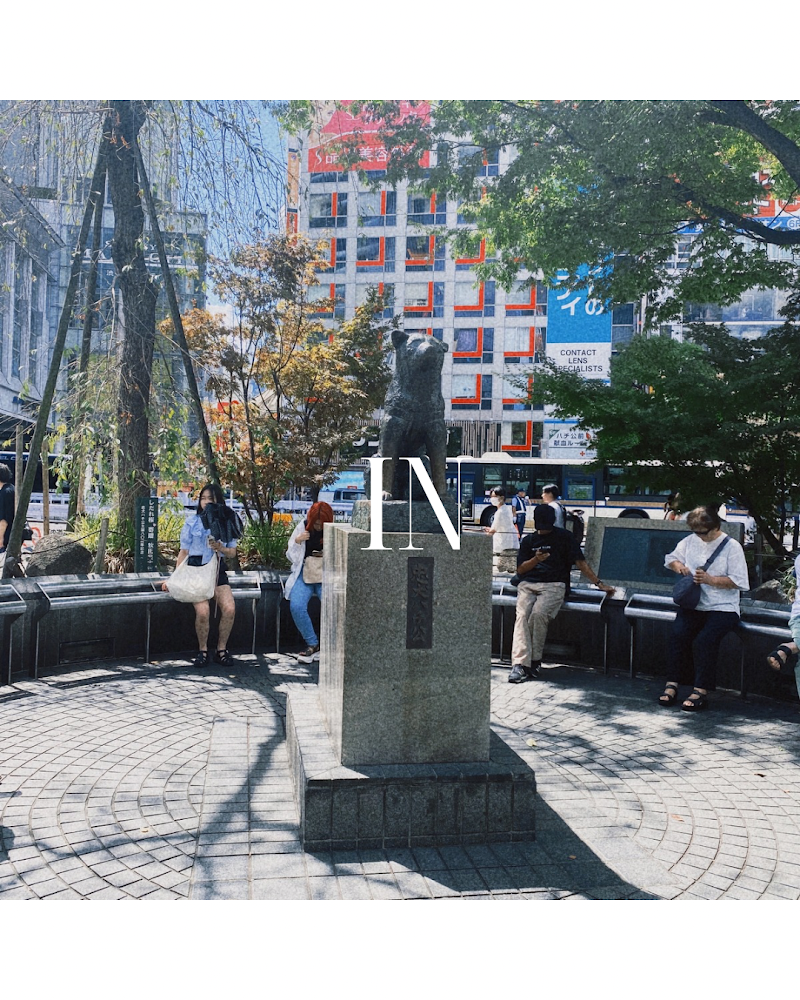 FAM Investigation Co., Ltd.の写真 2