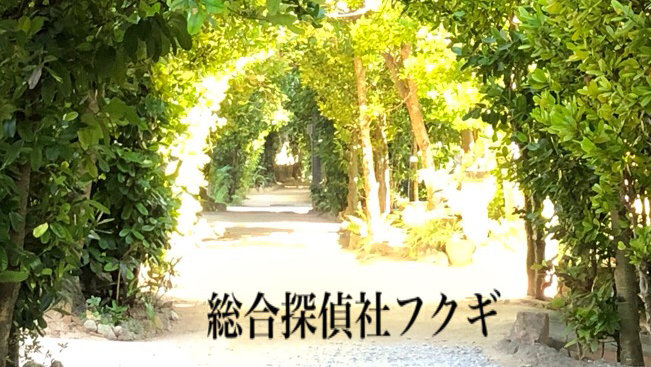 総合探偵社フクギのイメージ