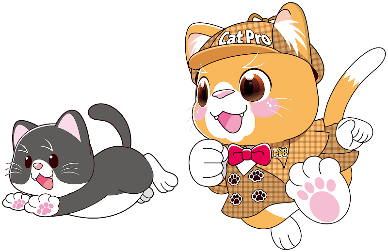 キャットプロ株式会社のイメージ