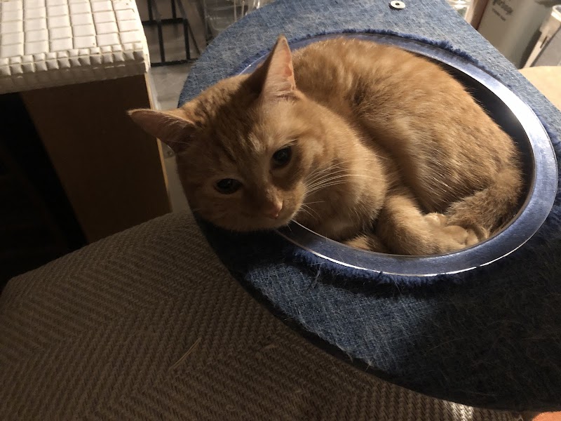 キャットプロ株式会社の写真 2