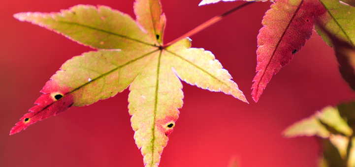 ふくおか県民探偵興信所のイメージ