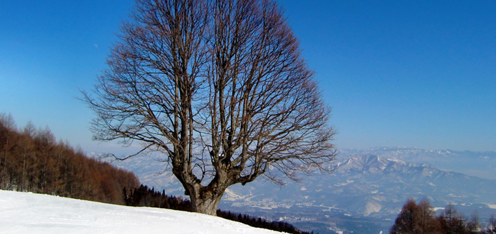 にいがた県民探偵興信所のイメージ