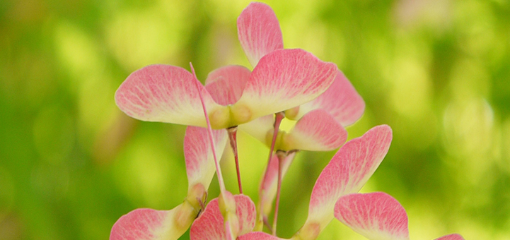 あいち県民探偵興信所のイメージ