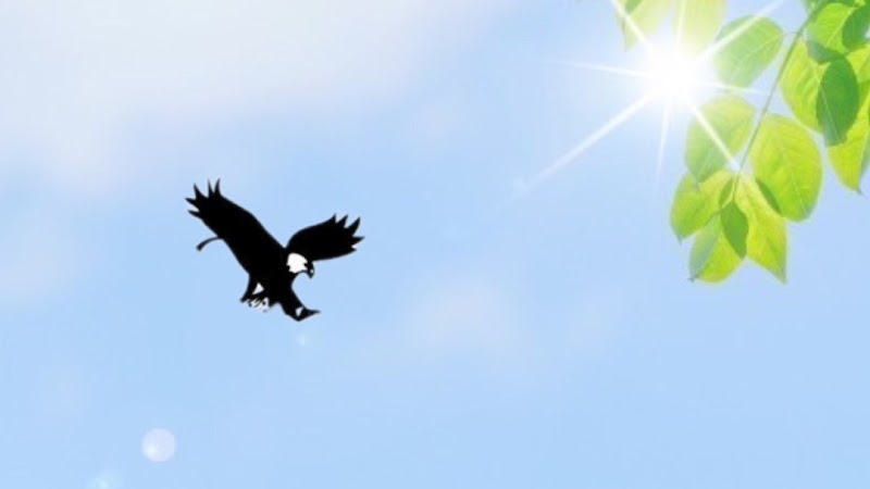 あおぞら探偵のイメージ