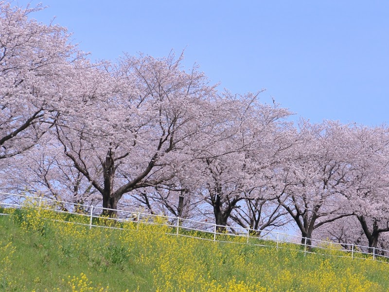 北陸あおば探偵事務所の写真 4
