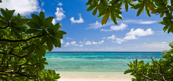 おきなわ県民探偵興信所のイメージ