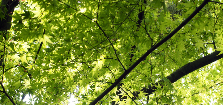 みやぎ県民探偵興信所のイメージ