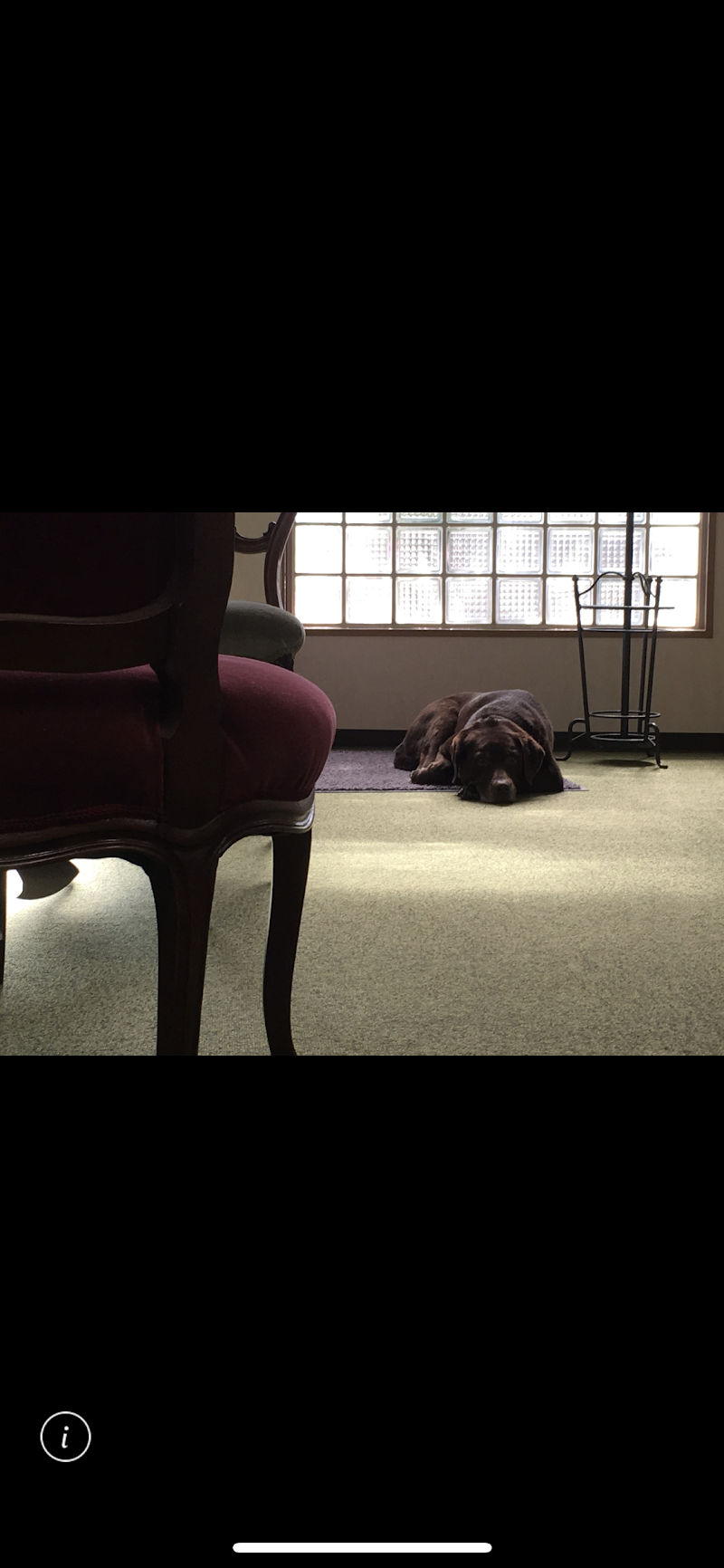 福岡十時探偵事務所の写真 4