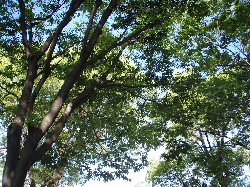 ひろしま県民探偵興信所のイメージ