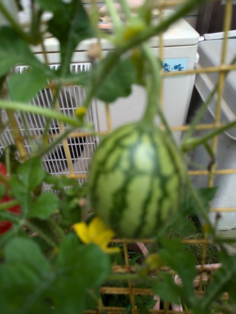 えん探偵事務所の写真 4