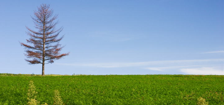 ほっかい道民探偵興信所のイメージ