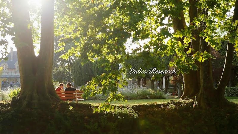 女性探偵社 レディースリサーチのイメージ