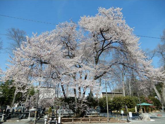 テイタン群馬のイメージ
