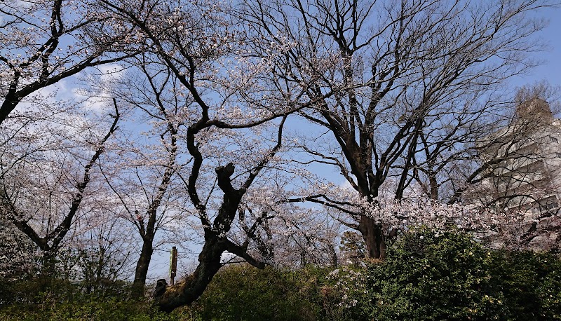 テイタン群馬の写真 2